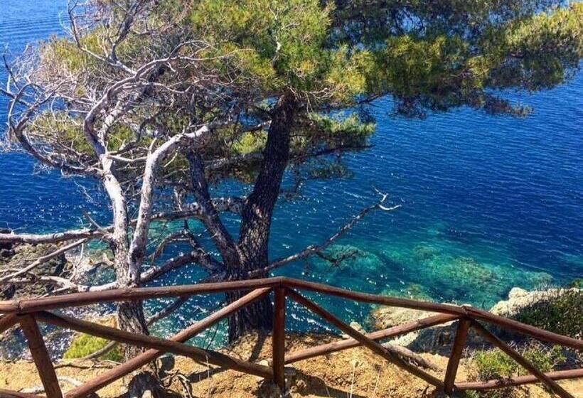 Номер Стандарт Вид на Море с Балконом, Feluca