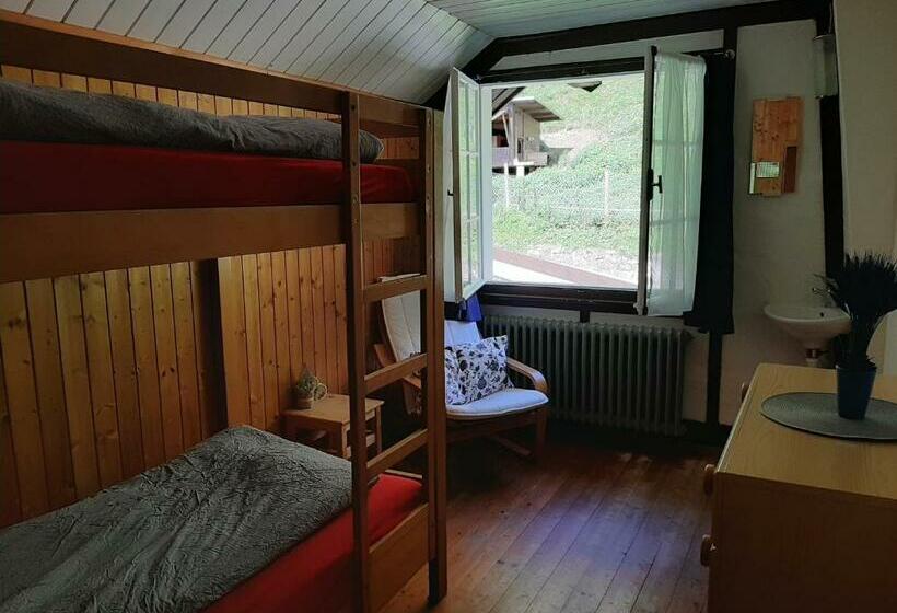 اتاق استاندارد با سرویس بهداشتی مشترک, Hostel Rotschuo Jugend  Und Familienferien