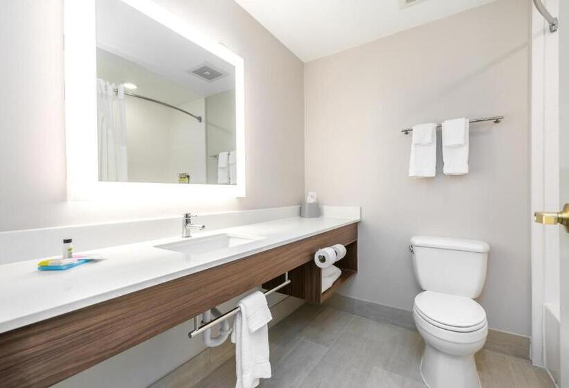 Номер Executive Кровать Кинг, Holiday Inn Express Hotel & Suites Lagrange I 85, An Ihg