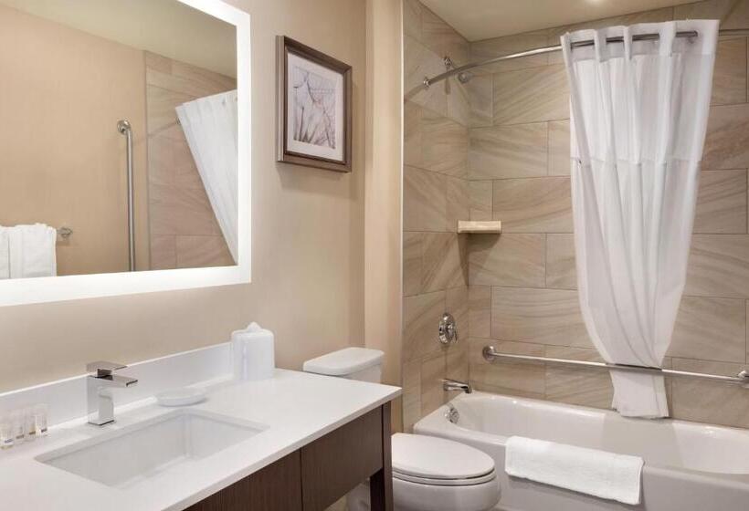 デラックスルーム, Fairfield Inn & Suites By Marriott Airdrie