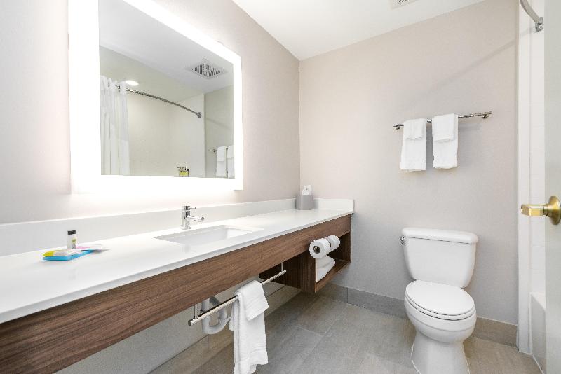 Люкс Кровать Кинг, Holiday Inn Express Hotel & Suites Lagrange I 85, An Ihg