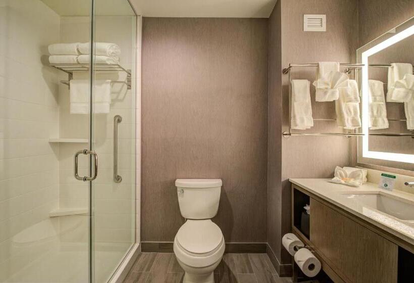 Люкс Кровать Кинг, Holiday Inn Hotel & Suites   Houston West   Katy Mills, An Ihg