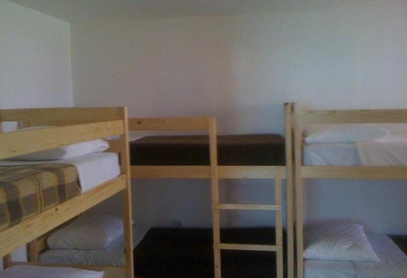 공동 객실, Hostel Amfora