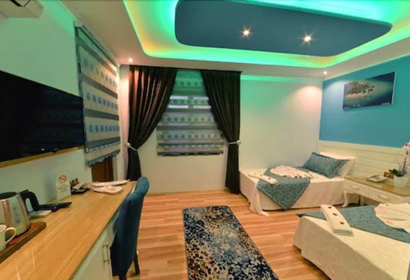 Номер Стандарт, Kayı