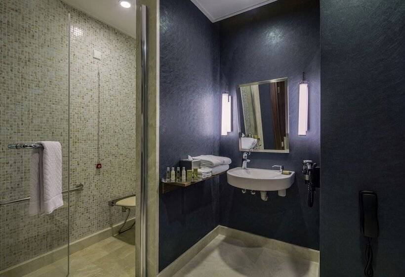 身障者適用スタンダードルーム, Doubletree By Hilton Istanbul Topkapi