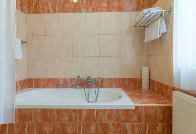 スーペリアールーム, Ensana Centrální Lázně   Maria Spa