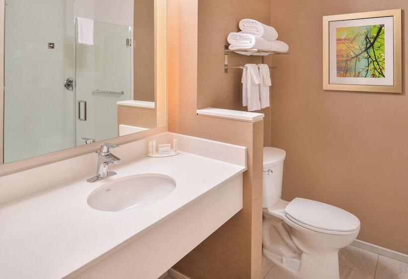 חדר סטנדרט מיטה זוגית, Fairfield Inn & Suites By Marriott Eugene East/springfield