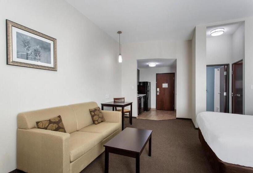 带大床的套房, Sleep Inn Big Spring North I 20