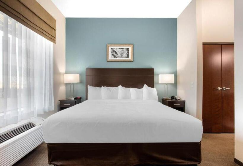 适合残疾人士使用的带超级大床的标准间, Sleep Inn Big Spring North I 20