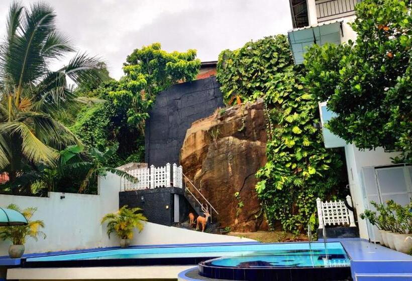 اتاق لوکس, Elliot Nature Resort