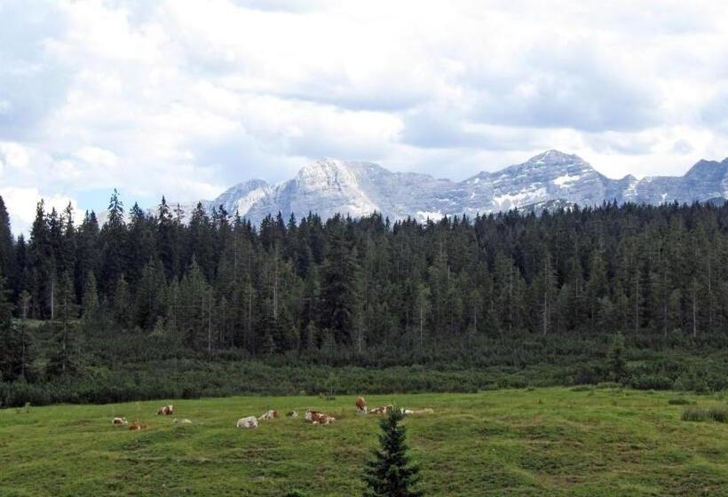 سوییت, Winklmoos Sonnenalm