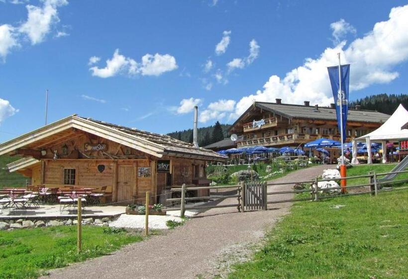 اتاق استاندارد, Winklmoos Sonnenalm