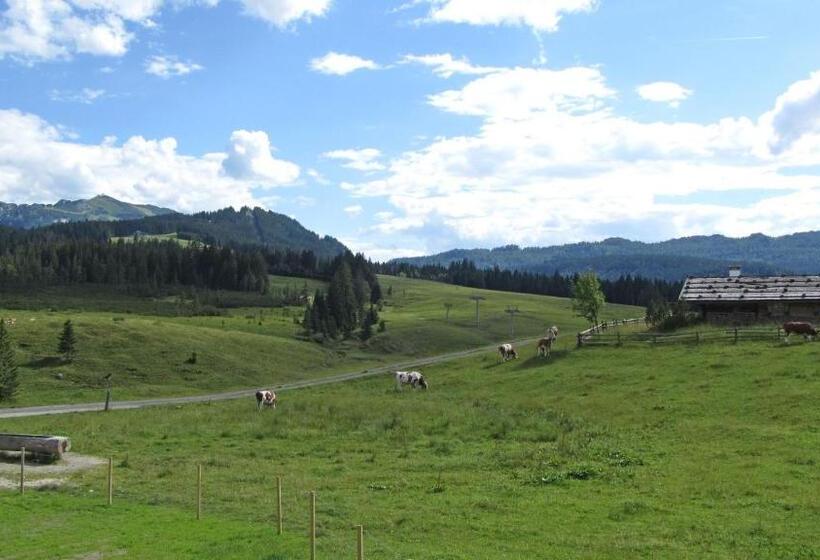 اتاق لوکس, Winklmoos Sonnenalm