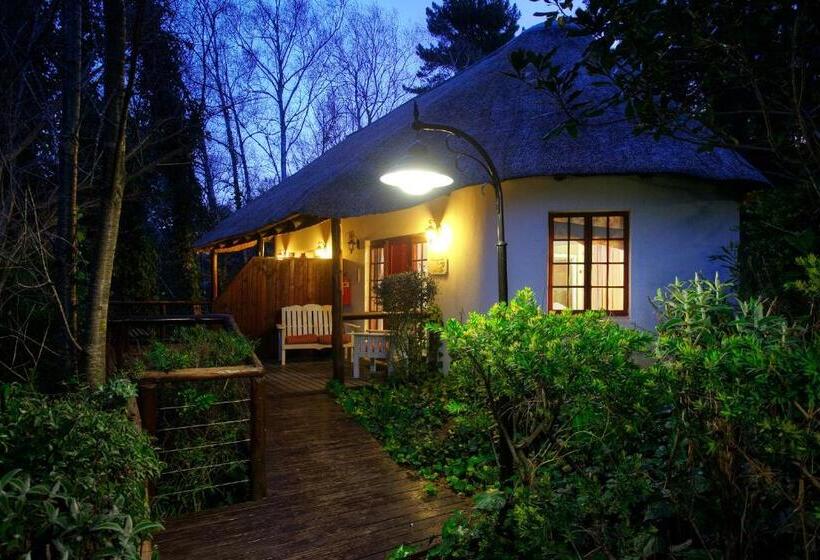 Номер Стандарт, Hogsback Arminel