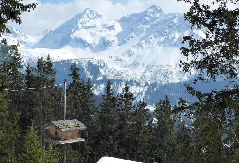 سوییت جونیور, Arlenwald