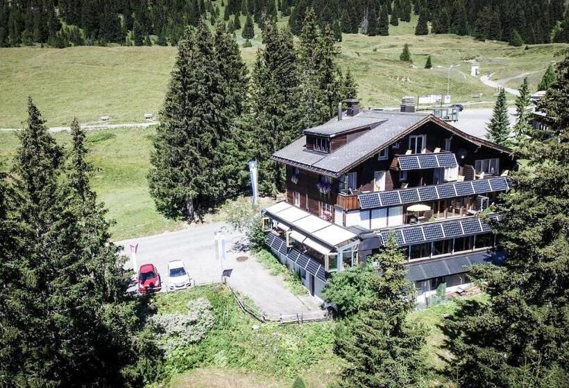 اتاق استاندارد سه نفره, Arlenwald