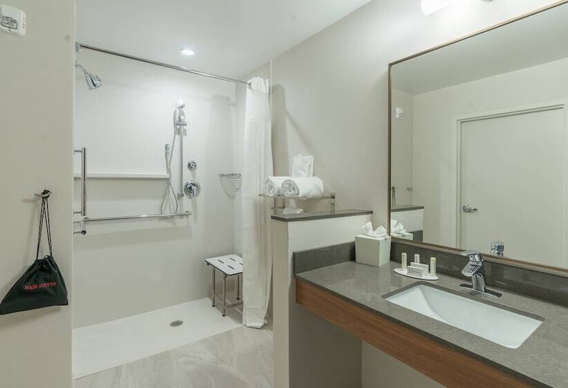 Люкс, Fairfield Inn & Suites By Marriott Gainesville I 75