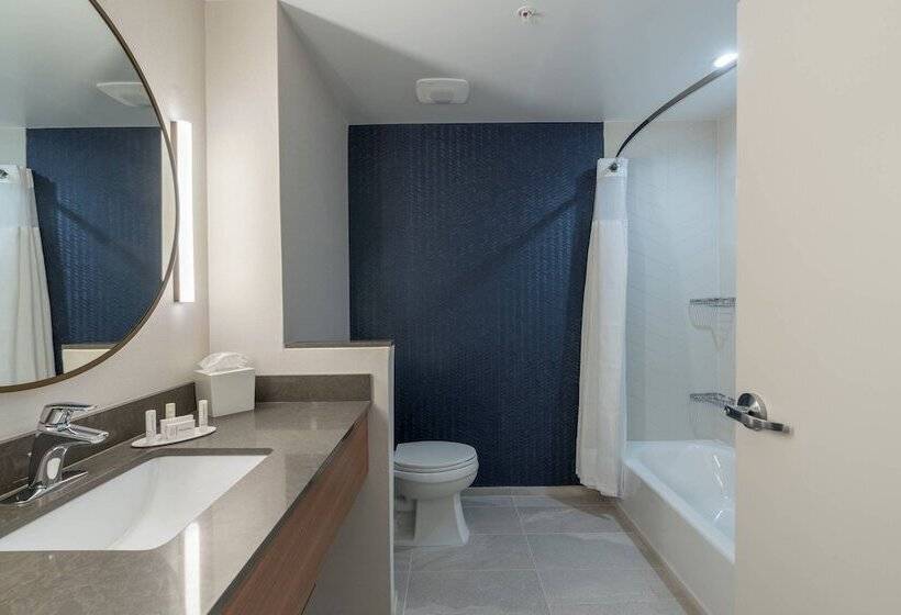 Люкс, Fairfield Inn & Suites By Marriott Gainesville I 75