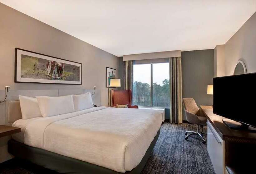 Стандартный Номер Кровать Кинг, Hilton Garden Inn Hanover Lebanon