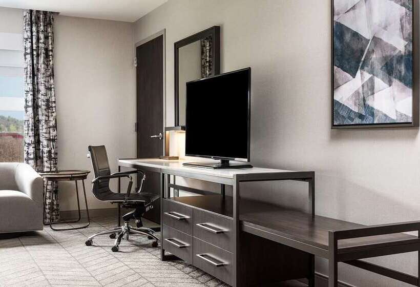 Номер Deluxe, Hilton Garden Inn Hanover Lebanon