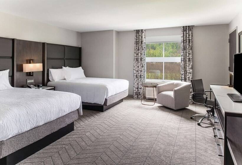 Номер Deluxe Адаптированный для Инвалидов, Hilton Garden Inn Hanover Lebanon