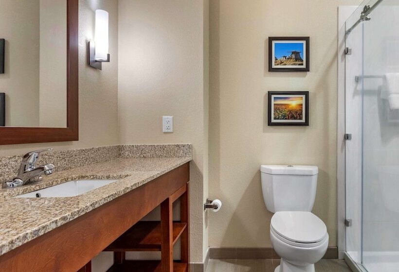 Люкс, Comfort Inn & Suites