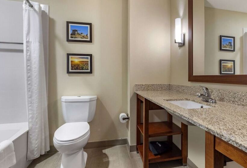 Люкс, Comfort Inn & Suites