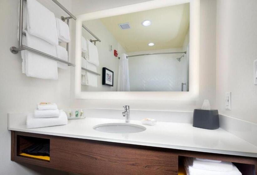 Номер Стандарт Кровать Кинг Адаптированный для Инвалидов, Holiday Inn & Suites Arden   Asheville Airport, An Ihg