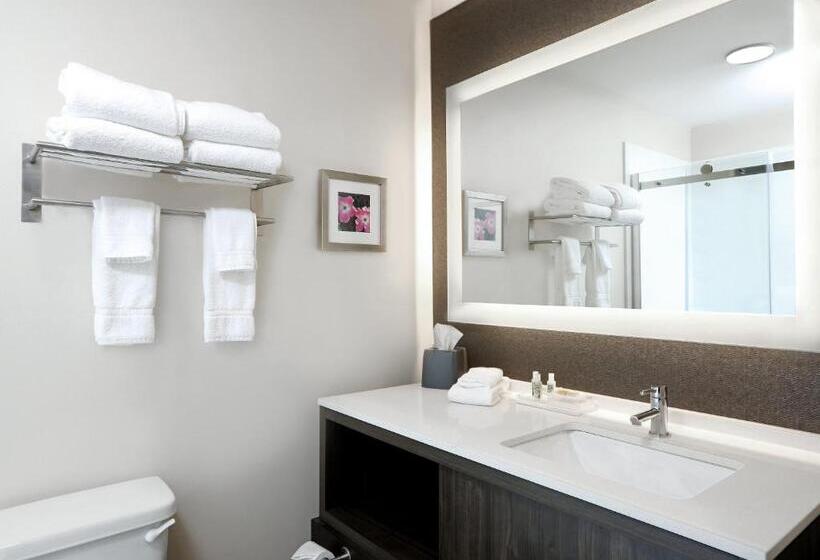 Номер Стандарт, Holiday Inn & Suites Sioux Falls   Airport, An Ihg
