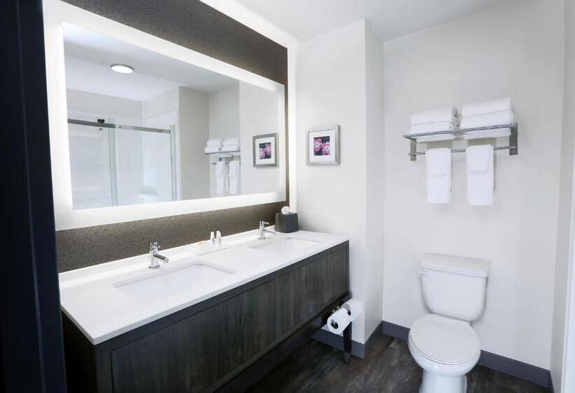 Люкс Повышенной Комфортности, Holiday Inn & Suites Sioux Falls   Airport, An Ihg