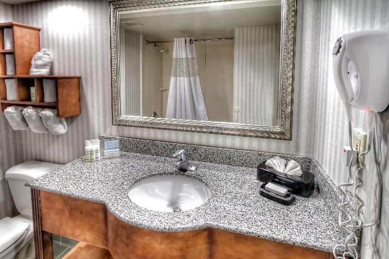 キングサイズベッドのスイートルーム, Holiday Inn & Suites Sioux Falls   Airport, An Ihg