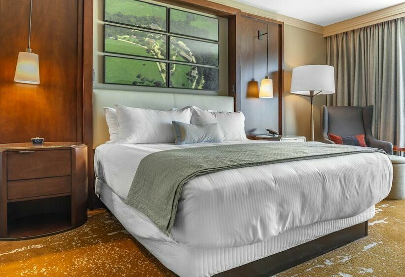 اتاق دلوکس مخصوص معلولین, Omni Louisville