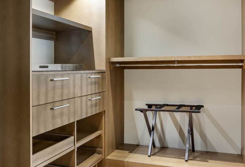 اتاق دلوکس مخصوص معلولین, Omni Louisville