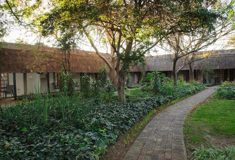 스탠다드 쿼드러플룸, 수영장 전망, Safari Club Guest Lodge Or Tambo International Airport