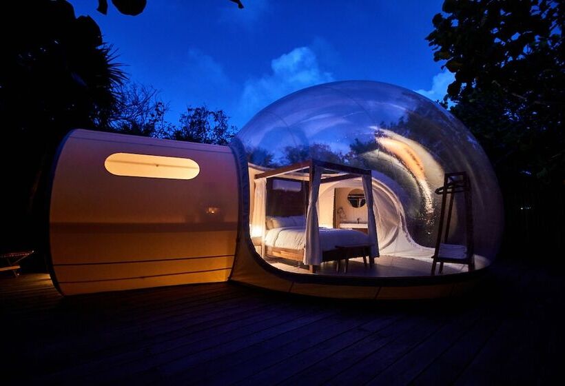Standard Tent, Astral Tulum