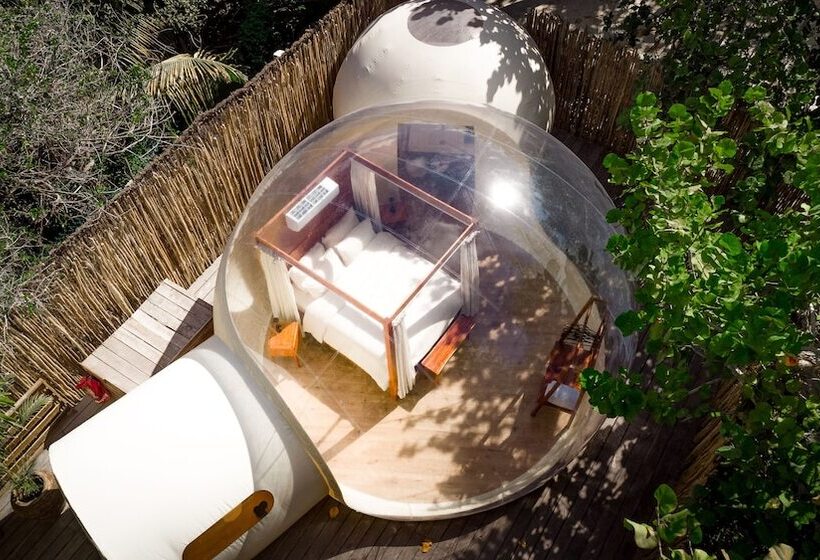Standard Tent, Astral Tulum
