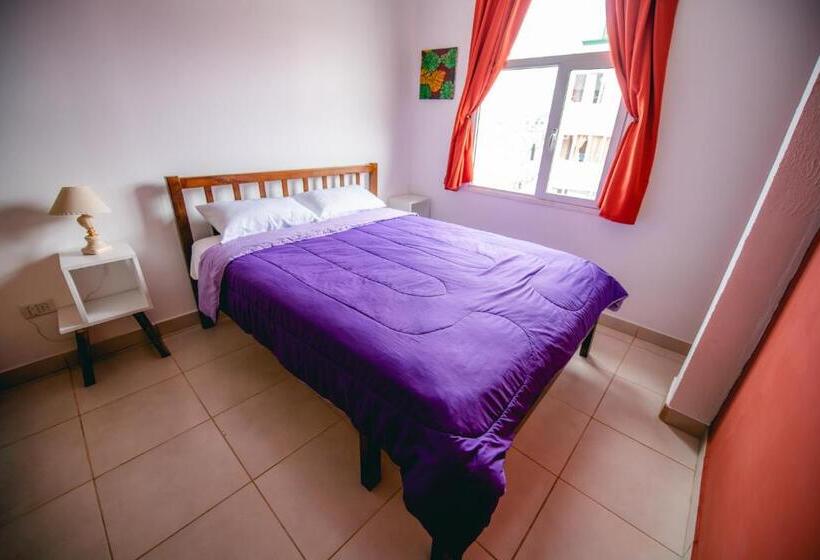 Standard Szoba Megosztott Fürdővel, Oshovia Hostel