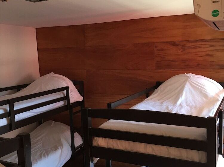 共用房间的床, Circus Hostel&hotel Montevideo