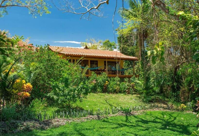 Студио Стандарт с Балконом, Anamaya Resort