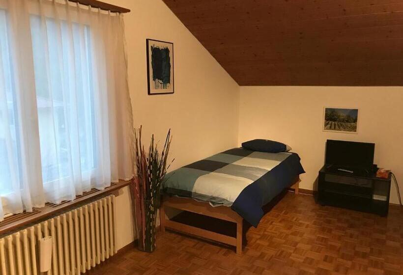Номер Стандарт Вид на Сад, Bed N Breakfast Obermumpf