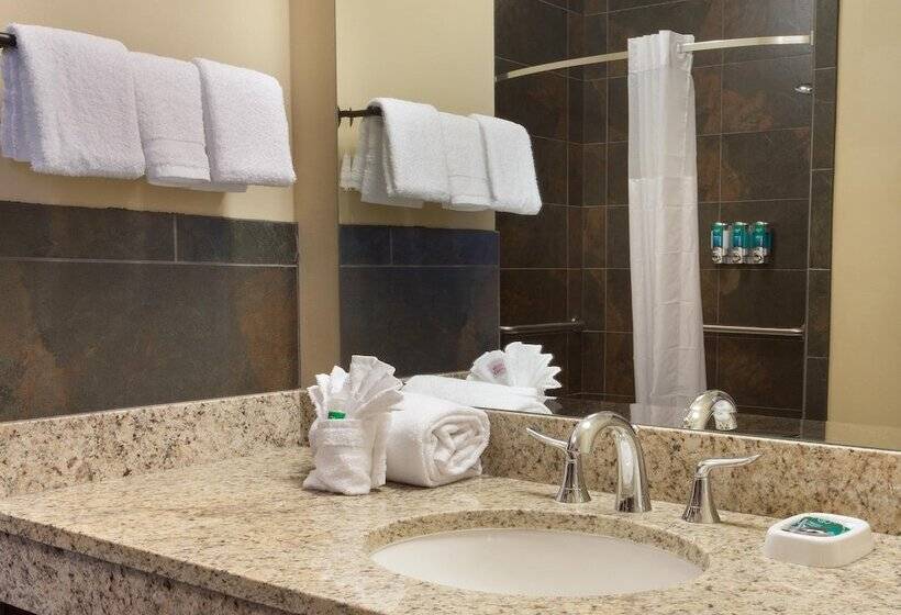 장애인용 디럭스룸, Drury Plaza Hotel Cleveland Downtown