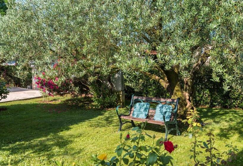 اتاق استاندارد با تراس, B&b Carmela