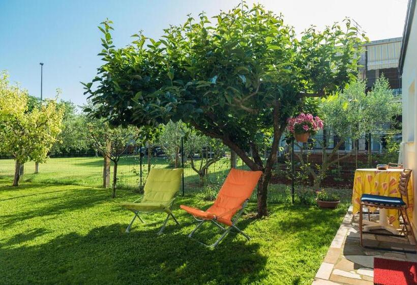 اتاق استاندارد با تراس, B&b Carmela