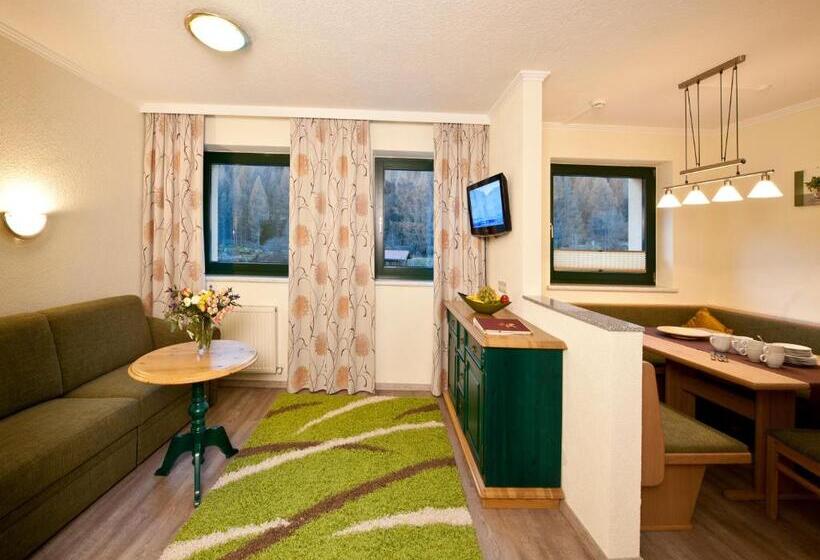 침실 2개 아파트, Alp Resort Tiroler Adler