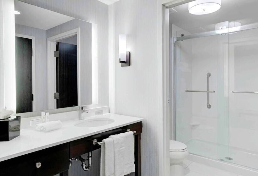 Люкс Адаптированный для Инвалидов, Homewood Suites By Hilton Lansing Eastwood