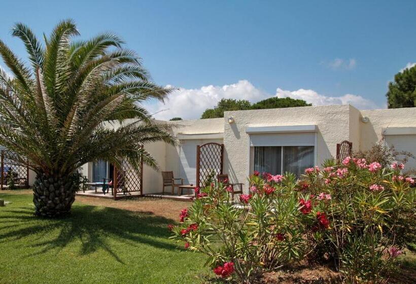 اتاق سوپریور با چشم‌انداز دریا, Hôtel Pineto