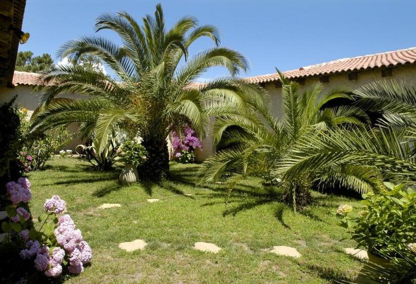 اتاق استاندارد با چشم‌انداز باغ, Hôtel Pineto