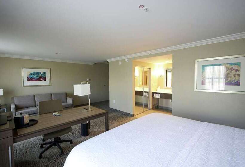 스탠다드 룸 킹사이즈 침대, Hampton Inn & Suites Mount Laurel/moorestown