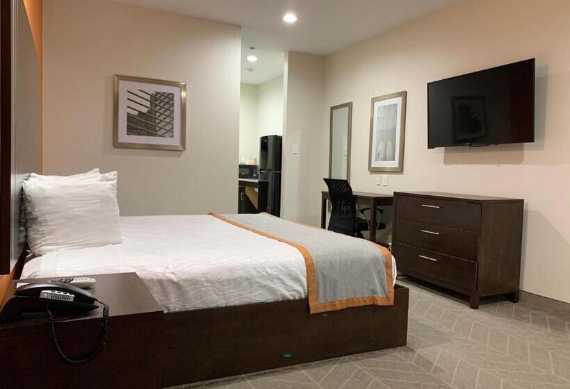 Engelliler için Büyük Çift Kişilik Yataklı Standart Oda, Scottish Inn & Suites  Iah Airport