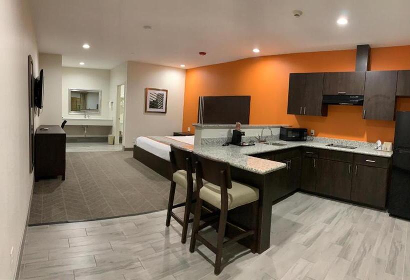 סטודיו דלוקס, Scottish Inn & Suites  Iah Airport
